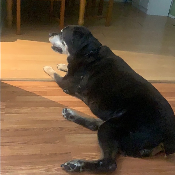 Meet your Posher, Travis - Picture 1 of 1